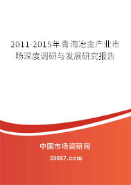 2011-2015年青海冶金产业市场深度调研与发展研究报告
