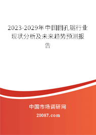 2023-2029年中国圆孔锯行业现状分析及未来趋势预测报告