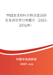 中国清洁燃料市场深度调研及发展前景分析报告（2025-2031年）