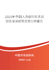 2025年中国人寿保险现状调研及发展趋势走势分析报告 2025年中国人寿保险现状调研及发展趋势走势分析报告