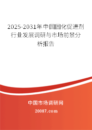 2025-2031年中国固化促进剂行业发展调研与市场前景分析报告
