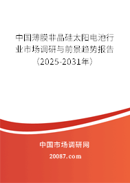 中国薄膜非晶硅太阳电池行业市场调研与前景趋势报告(2025-2031年) 中国薄膜非晶硅太阳电池行业市场调研与前景趋势报告(2025-2031年)