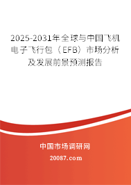 2025-2031年全球与中国飞机电子飞行包（EFB）市场分析及发展前景预测报告