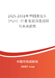 2025-2031年中国激光头（PUH）行业发展深度调研与未来趋势