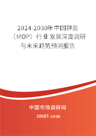 2024-2030年中国钾盐（MOP）行业发展深度调研与未来趋势预测报告