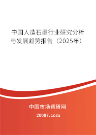 中国人造石墨行业研究分析与发展趋势报告（2025年）