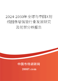 2024-2030年全球与中国X射线图像增强管行业发展研究及前景分析报告 2024-2030年全球与中国X射线图像增强管行业发展研究及前景分析报告