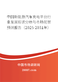 中国新能源汽车充电平台行业发展现状分析与市场前景预测报告（2025-2031年）