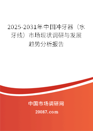 2025-2031年中国冲牙器（水牙线）市场现状调研与发展趋势分析报告