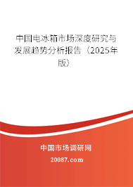 中国电冰箱市场深度研究与发展趋势分析报告(2025年版) 中国电冰箱市场深度研究与发展趋势分析报告(2025年版)
