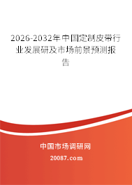 2026-2032年中国定制皮带行业发展研及市场前景预测报告