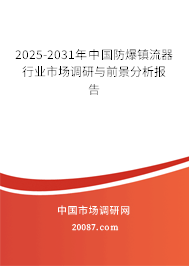 2025-2031年中国防爆镇流器行业市场调研与前景分析报告 2025-2031年中国防爆镇流器行业市场调研与前景分析报告