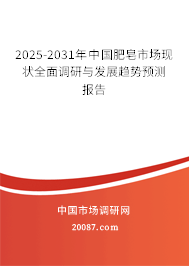 2025-2031年中国肥皂市场现状全面调研与发展趋势预测报告 2025-2031年中国肥皂市场现状全面调研与发展趋势预测报告