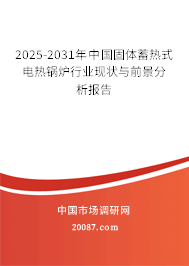 2025-2031年中国固体蓄热式电热锅炉行业现状与前景分析报告