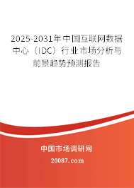 2025-2031年中国互联网数据中心（IDC）行业市场分析与前景趋势预测报告