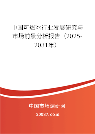中国可燃冰行业发展研究与市场前景分析报告（2025-2031年）