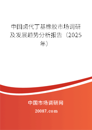 中国卤代丁基橡胶市场调研及发展趋势分析报告(2025年) 中国卤代丁基橡胶市场调研及发展趋势分析报告(2025年)