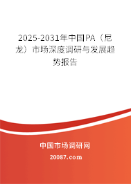 2025-2031年中国PA（尼龙）市场深度调研与发展趋势报告