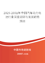 2025-2031年中国汽车动力电池行业深度调研与发展趋势预测