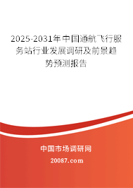 2025-2031年中国通航飞行服务站行业发展调研及前景趋势预测报告
