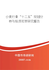 小麦行业“十二五”规划分析与投资前景研究报告