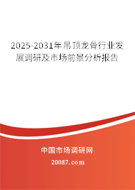 2025-2031年吊顶龙骨行业发展调研及市场前景分析报告 2025-2031年吊顶龙骨行业发展调研及市场前景分析报告