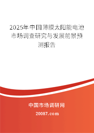 2025年中国薄膜太阳能电池市场调查研究与发展前景预测报告