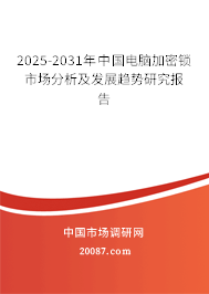 2025-2031年中国电脑加密锁市场分析及发展趋势研究报告