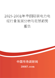 2025-2031年中国铠装电力电缆行业发展分析与前景趋势报告