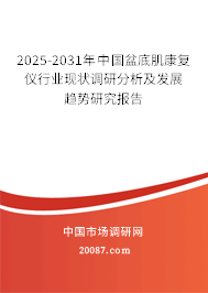 2025-2031年中国盆底肌康复仪行业现状调研分析及发展趋势研究报告