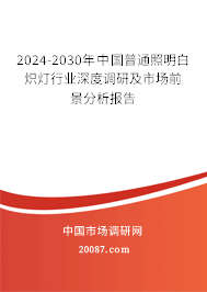 2024-2030年中国普通照明白炽灯行业深度调研及市场前景分析报告
