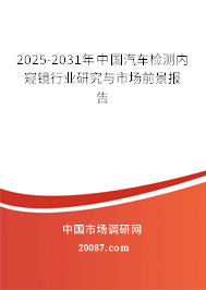 2025-2031年中国汽车检测内窥镜行业研究与市场前景报告 2025-2031年中国汽车检测内窥镜行业研究与市场前景报告