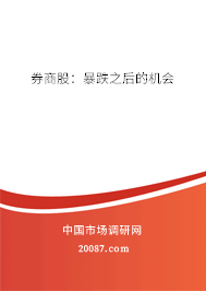 券商股：暴跌之后的机会