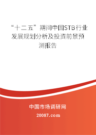 “十二五”期间中国STB行业发展规划分析及投资前景预测报告 “十二五”期间中国STB行业发展规划分析及投资前景预测报告