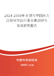 2024-2030年全球与中国水力压裂化学品行业全面调研与发展趋势报告