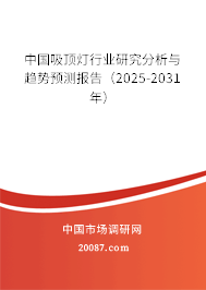中国吸顶灯行业研究分析与趋势预测报告(2025-2031年) 中国吸顶灯行业研究分析与趋势预测报告(2025-2031年)