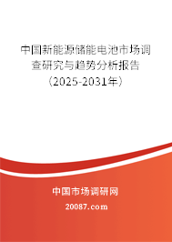 中国新能源储能电池市场调查研究与趋势分析报告（2024-2030年）