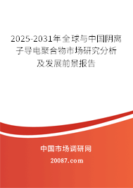 2025-2031年全球与中国阴离子导电聚合物市场研究分析及发展前景报告 2025-2031年全球与中国阴离子导电聚合物市场研究分析及发展前景报告