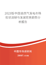 2023版中国自然气发电市场现状调研与发展前景趋势分析报告 2023版中国自然气发电市场现状调研与发展前景趋势分析报告