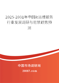 2025-2031年中国it运维服务行业发展调研与前景趋势预测