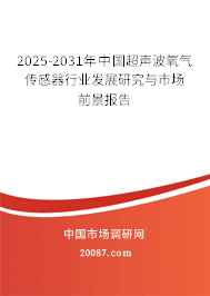 2025-2031年中国超声波氧气传感器行业发展研究与市场前景报告 2025-2031年中国超声波氧气传感器行业发展研究与市场前景报告