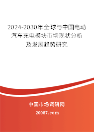 2024-2030年全球与中国电动汽车充电模块市场现状分析及发展趋势研究