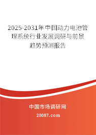 2025-2031年中国动力电池管理系统行业发展调研与前景趋势预测报告