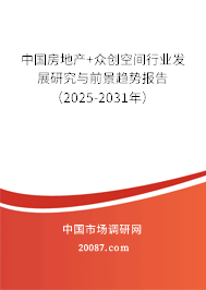 中国房地产+众创空间行业发展研究与前景趋势报告（2025-2031年）