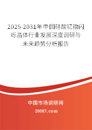 2025-2031年中国硅酸钇镥闪烁晶体行业发展深度调研与未来趋势分析报告