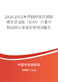 2026-2032年中国甲基丙烯酸缩水甘油酯（GMA）行业市场调研与发展前景预测报告
