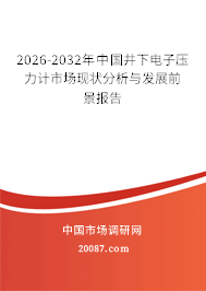 2026-2032年中国井下电子压力计市场现状分析与发展前景报告