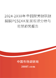 2024-2030年中国聚芳醚砜醚酮酮PESEKK发展现状分析与前景趋势报告 2024-2030年中国聚芳醚砜醚酮酮PESEKK发展现状分析与前景趋势报告
