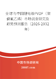 全球与中国锂电级PVDF（聚偏氟乙烯）市场调查研究及趋势预测报告（2026-2032年）