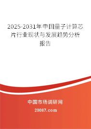 2025-2031年中国量子计算芯片行业现状与发展趋势分析报告